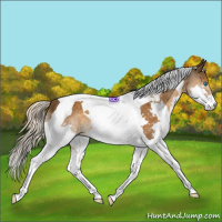 Horse Color:Chocolate Palomino Splash Tobiano 