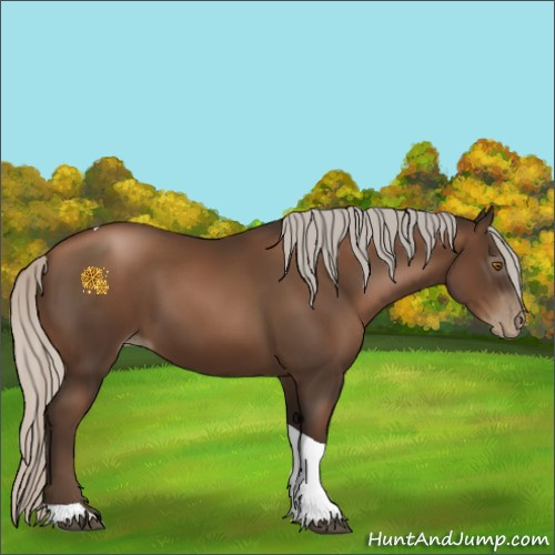 Horse Color:Gray Silver Black Pearl Tobiano 