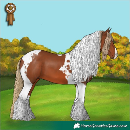 Horse Color:Chestnut Tobiano 
