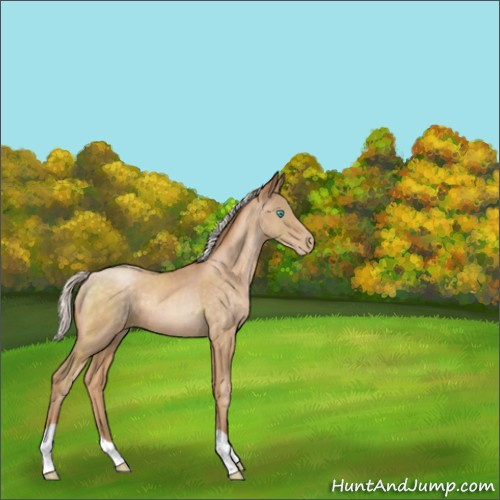 Horse Color:Silver Buckskin Pearl 