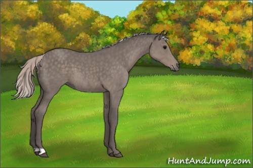 Horse Color:Silver Black 