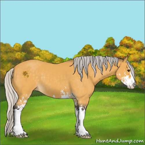 Horse Color:Silver Buckskin Sabino 