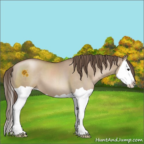 Horse Color:Grullo Pearl Splash 