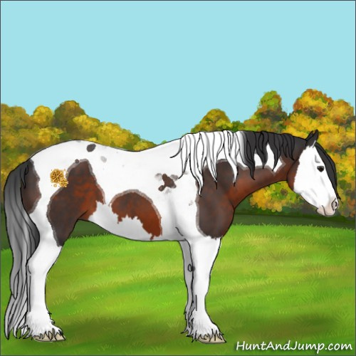 Horse Color:Brown Splash Tobiano 