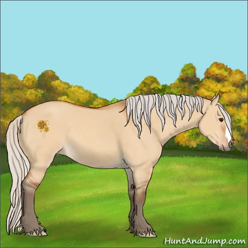 Horse Color:Silver Bay Dun 