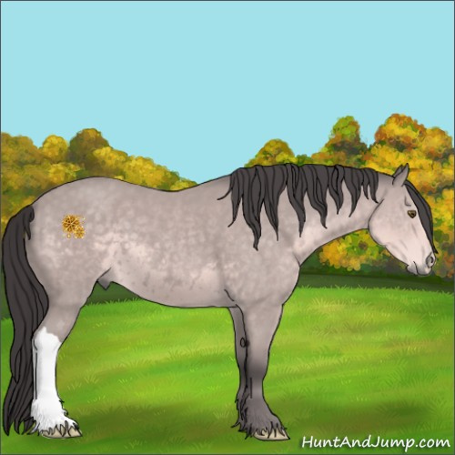 Horse Color:Platinum Buckskin 