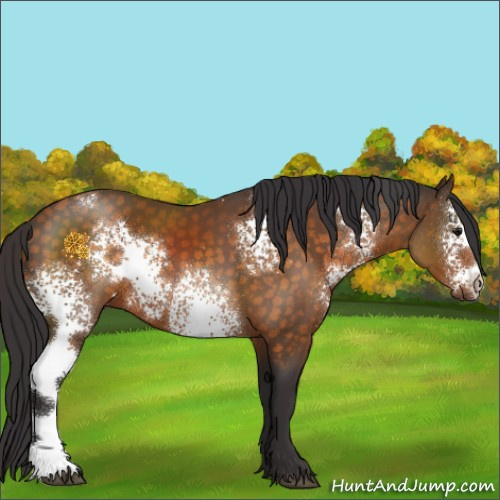 Horse Color:White Spotted Buckskin 