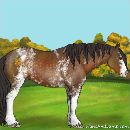 Horse Color:White Spotted Buckskin 