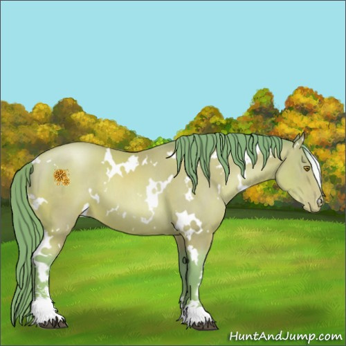 Horse Color:Watercolor White Spotted Brown Pearl Sabino 