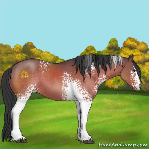 Horse Color:White Spotted Brown Dun 