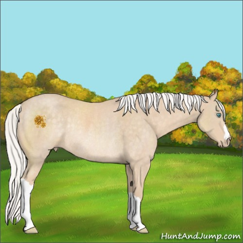 Horse Color:Silver Perlino Rabicano 