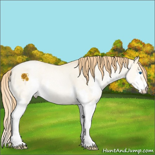 Horse Color:Buckskin Roan Pearl Dun Splash Appaloosa Rabicano 
