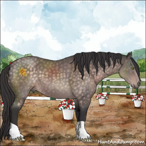 Horse Color:Platinum Buckskin 