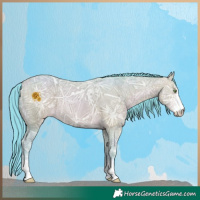 Horse Color:Watercolor Amber Champagne Ice Sabino 