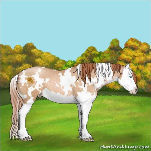 Horse Color:White Spotted Buckskin Pearl Sabino Splash 