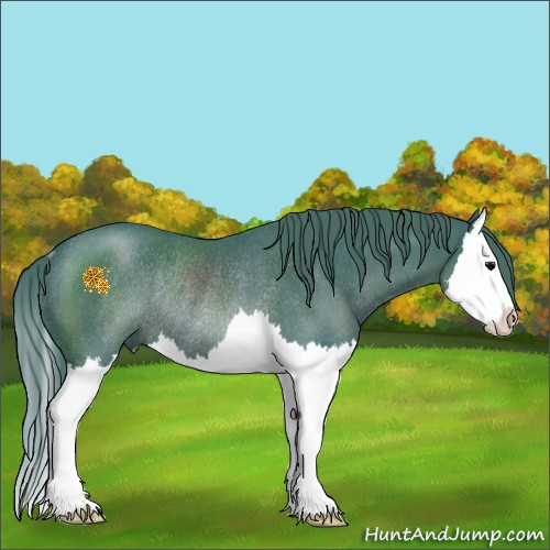 Horse Color:Watercolor Black Sabino Splash Rabicano 