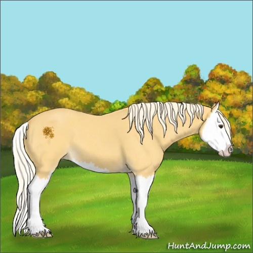 Horse Color:Palomino Roan Splash 