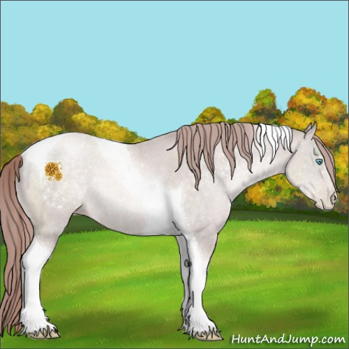 Horse Color:Platinum Buckskin Pearl Tobiano 