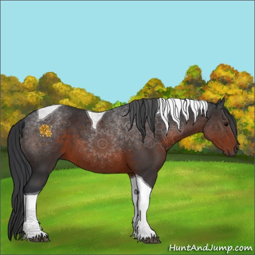 Horse Color:Brown Sabino Tobiano 