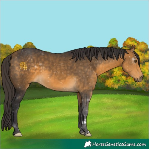 Horse Color:Buckskin 