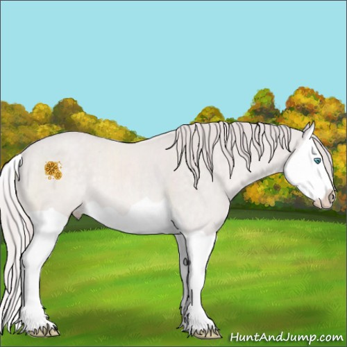 Horse Color:Platinum Perlino Splash 
