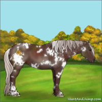 Horse Color:White Spotted Chocolate Silver Brown