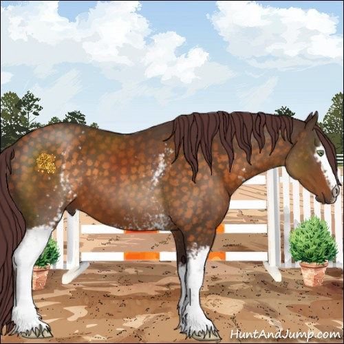 Horse Color:White Spotted Chocolate Buckskin 