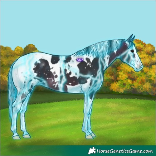 Horse Color:Thunderstruck White Spotted Brown Splash Tobiano 