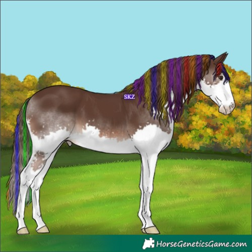 Horse Color:Painted Liver Chestnut Splash 