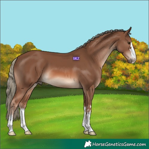 Horse Color:Chestnut Mushroom