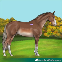 Horse Color:Chestnut Mushroom 