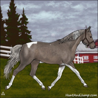 Horse Color:Silver Black Tobiano 
