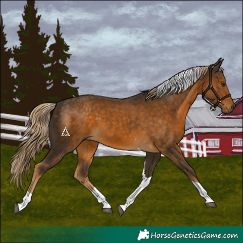 Horse Color:Chocolate Palomino Tobiano 
