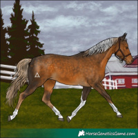 Horse Color:Chocolate Palomino Tobiano 