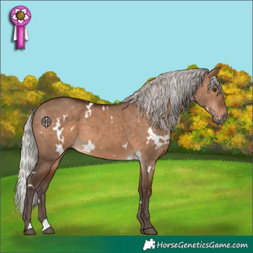 Horse Color:White Spotted Silver Brown Dun 