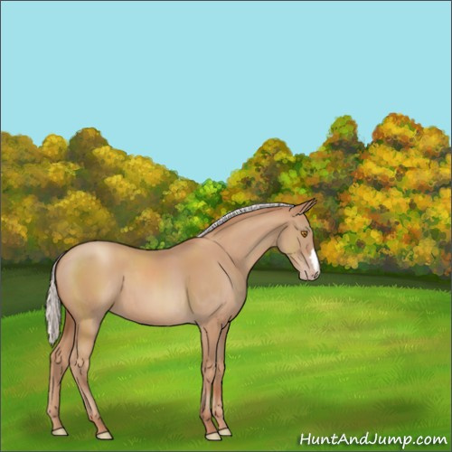 Horse Color:Silver Classic Champagne 