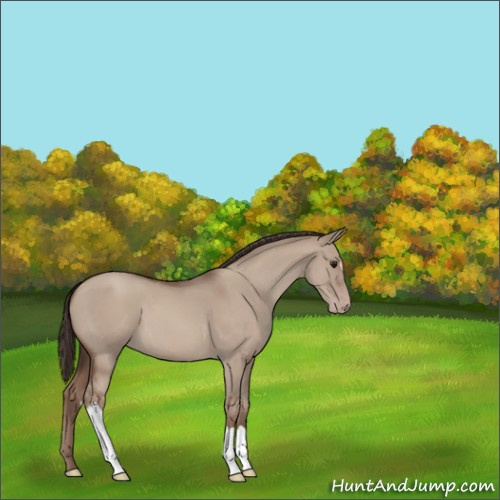 Horse Color:Classic Champagne Dun 