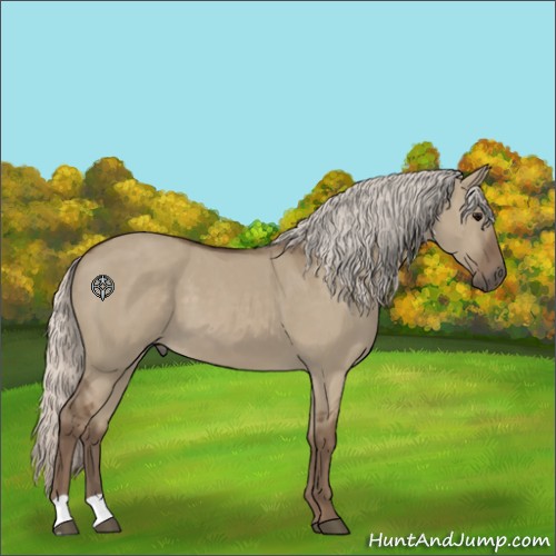 Horse Color:Silver Grullo 