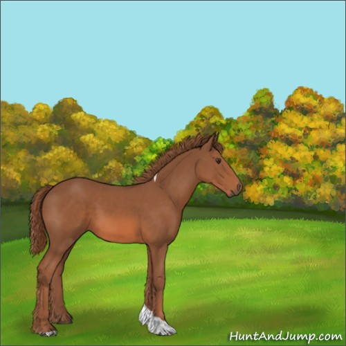 Horse Color:Chestnut Tobiano 
