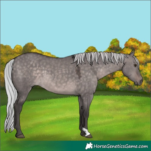 Horse Color:Platinum Silver Brown Dun 