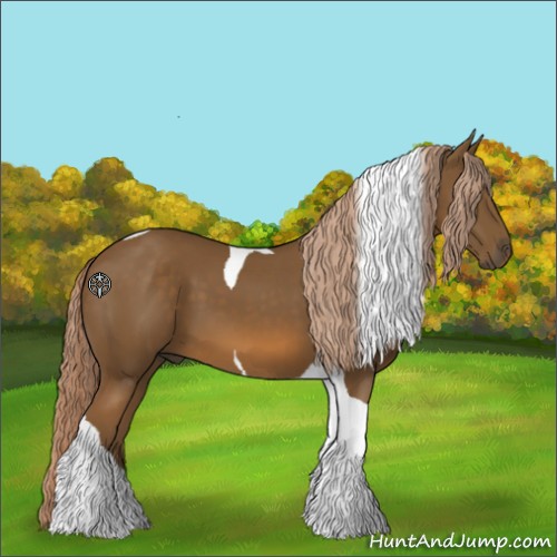 Horse Color:Chocolate Palomino Tobiano 