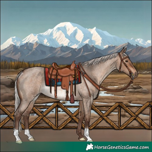 Horse Color:Silver Brown Roan Dun Rabicano 