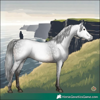 Horse Color:Gray Brown Sabino 