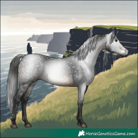 Horse Color:Gray Brown Sabino 