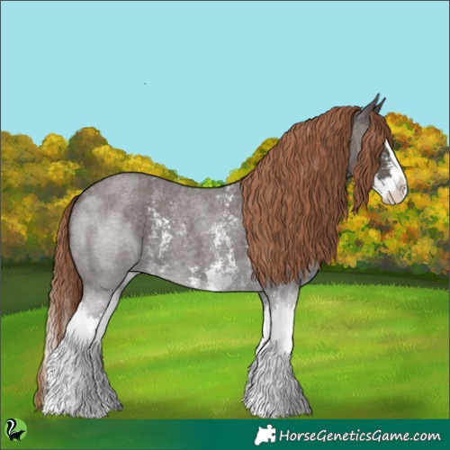 Horse Color:Liver Red Roan Sabino Splash 