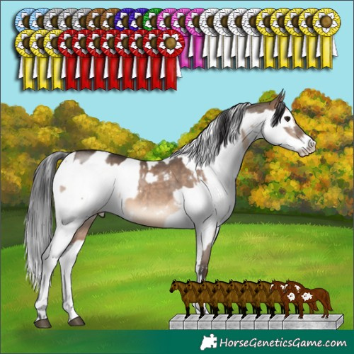 Horse Color:White Spotted Brown Dun Rabicano and White Spotted Black Splash Frame Rabicano