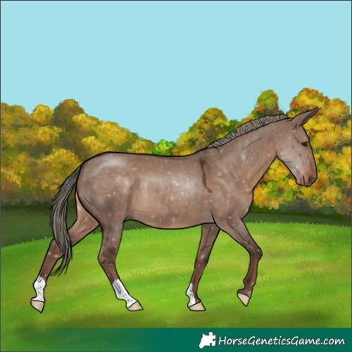 Horse Color:Liver Red Dun Mushroom 