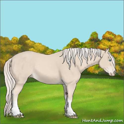Horse Color:Cremello Tobiano 
