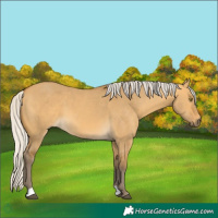 Horse Color:Silver Buckskin Dun 