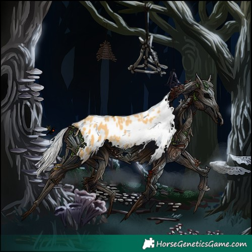 Horse Color:Silver Amber Cream Champagne Appaloosa 